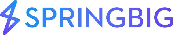 rsz_springbig_logo (1).png
