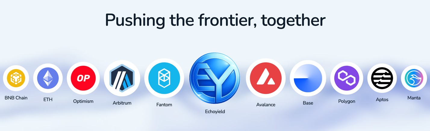 Multi-Chain Ecosystem