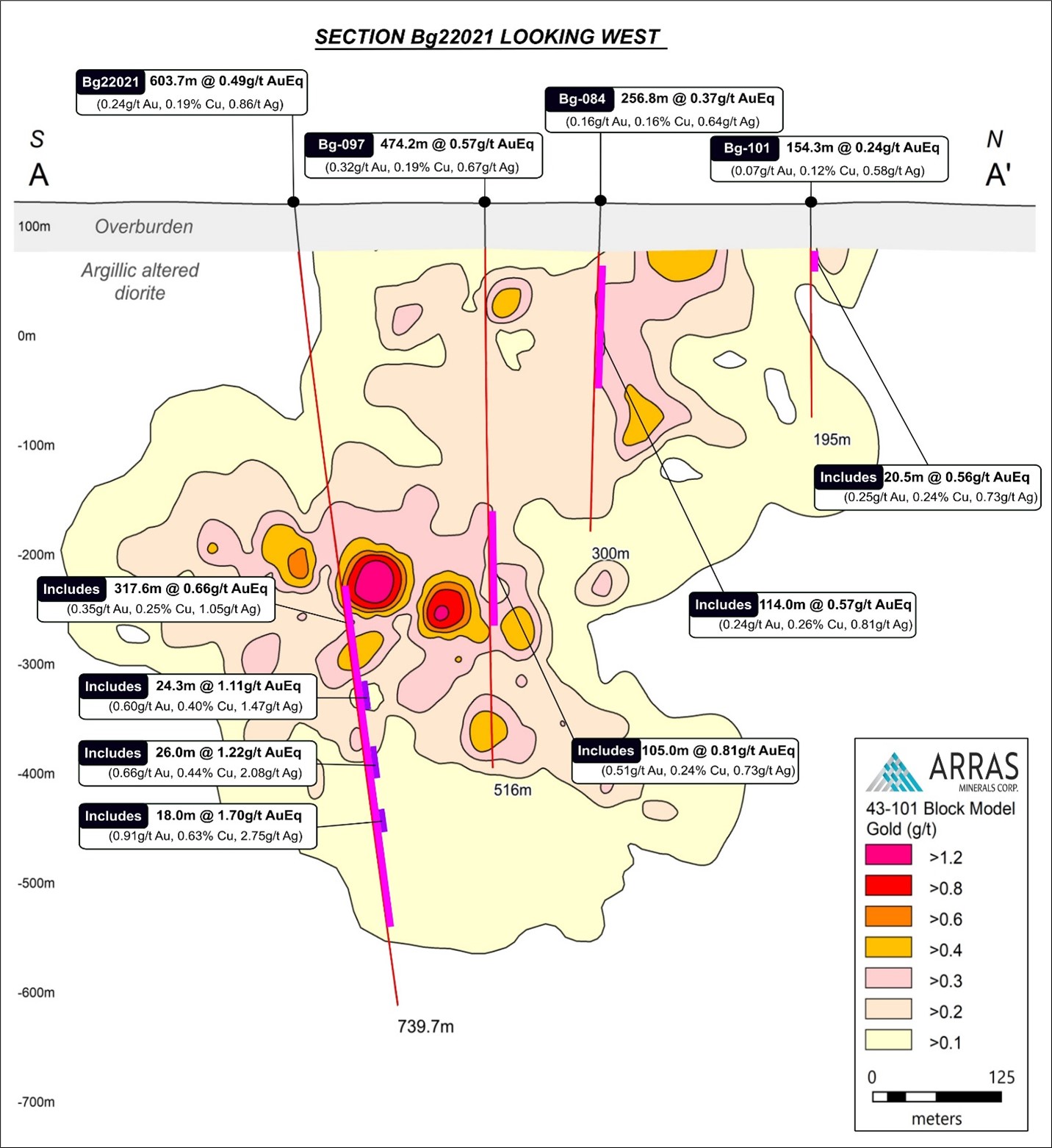 Cross-section showing drill holes Bg22021 in relation to historical drill hole Bg-084, Bg-097 and Bg-101. Also shown are grade contours based on the Beskauga block model for gold (only) developed for the purposes of the current Mineral Resource Estimate for Beskauga (for further details, please see Arras’ press release on June 20, 2022). AuEq grades of key intercepts in Bg22012 and historical holes are shown. The cross-section demonstrates the steep, southwest dipping high-grade copper-gold-silver trend observed through Arras’ exploration to date. This trend is observed beginning at the paleo-bedrock surface (41 m in depth), to average between 200-300 m wide and to be consistently mineralized down to at least 1000 meters.