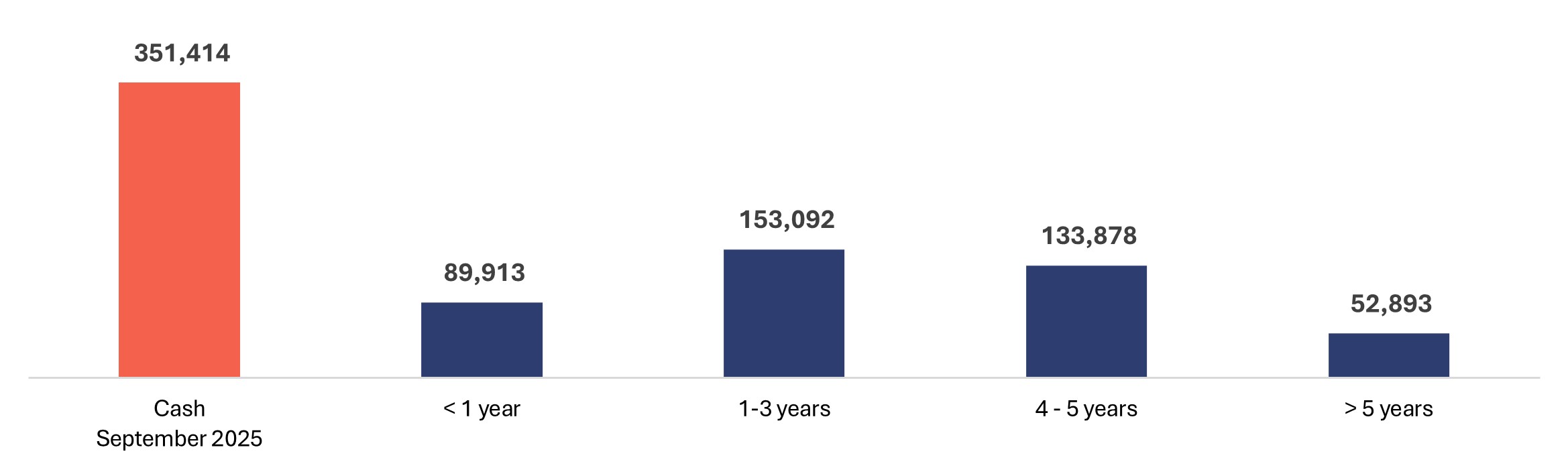 Debt Amortization Timeline (US$ thousand) image