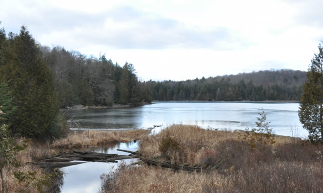 La Loutre Property Access Road Photo