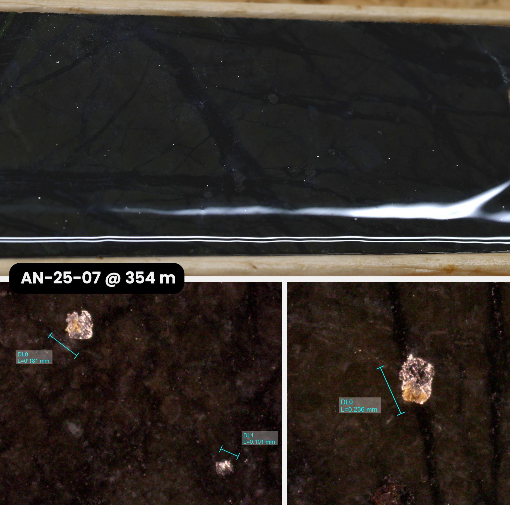 Figure 3 image