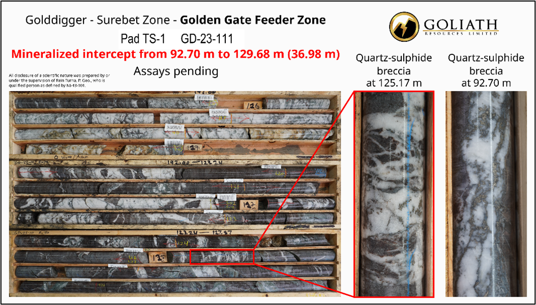 Bordüre Gold Cyberdine 1 MT