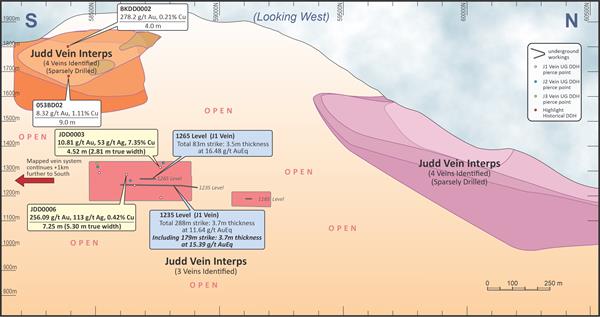 Figure 2 – Judd Vein System long-section including Judd Vein interpretations (“Interps”) based on sparse drilling