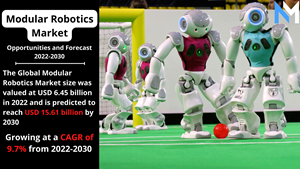 Modular Robotics Market.png