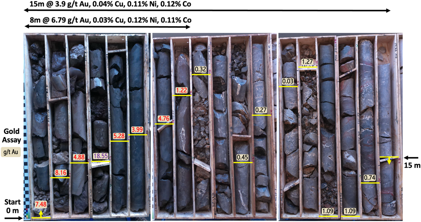 Figure 3 - Drillhole PVD15 drill core with corresponding gold grades