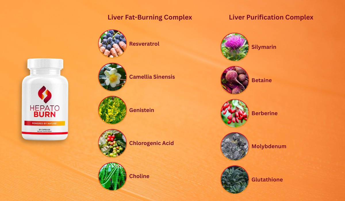 HepatoBurn Ingredients