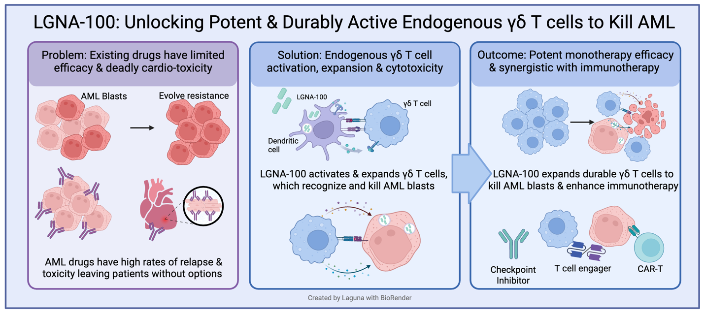 Mechanism of Action: LGNA-100 Activated ?d T cells in Acute Myeloid Leukemia (AML)