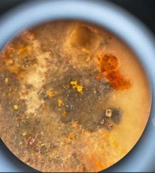 Photos of visible gold in TRXU-DD-23-026 (field of view 1 cm diameter with hand lens)