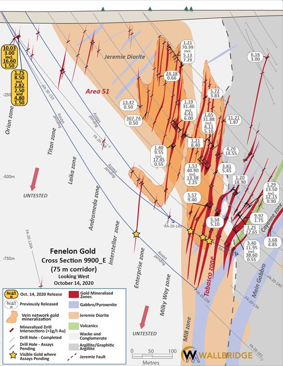 Fenelon Gold, 9900 Cross Section