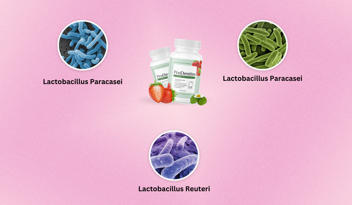 ProDentim Ingredients