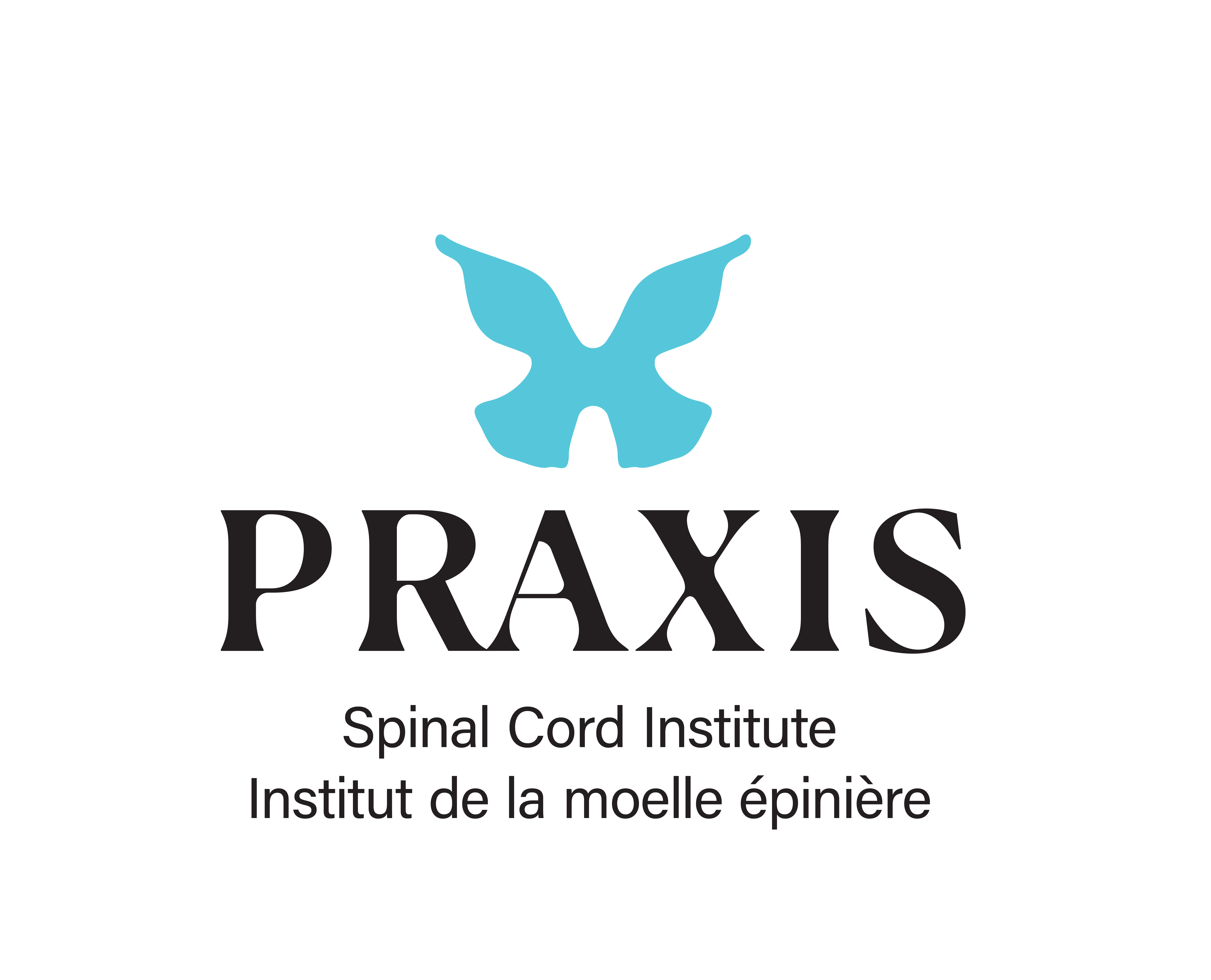 Praxis Spinal Cord I