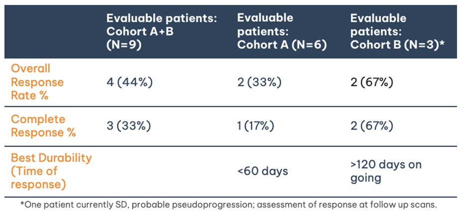 Phase 1b azer-cel CAR T interim results