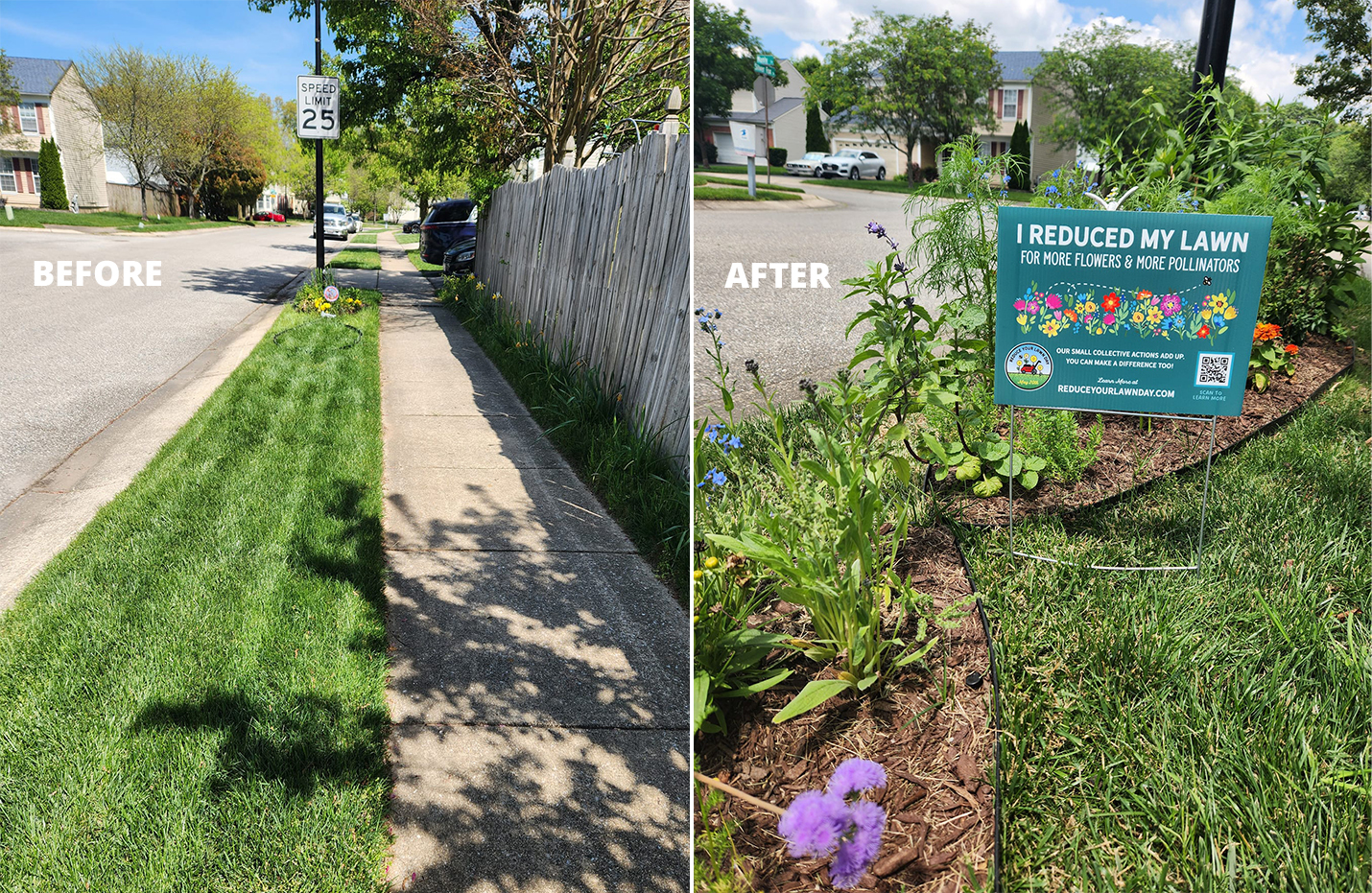 Flip The Strip Planting - Before and After 