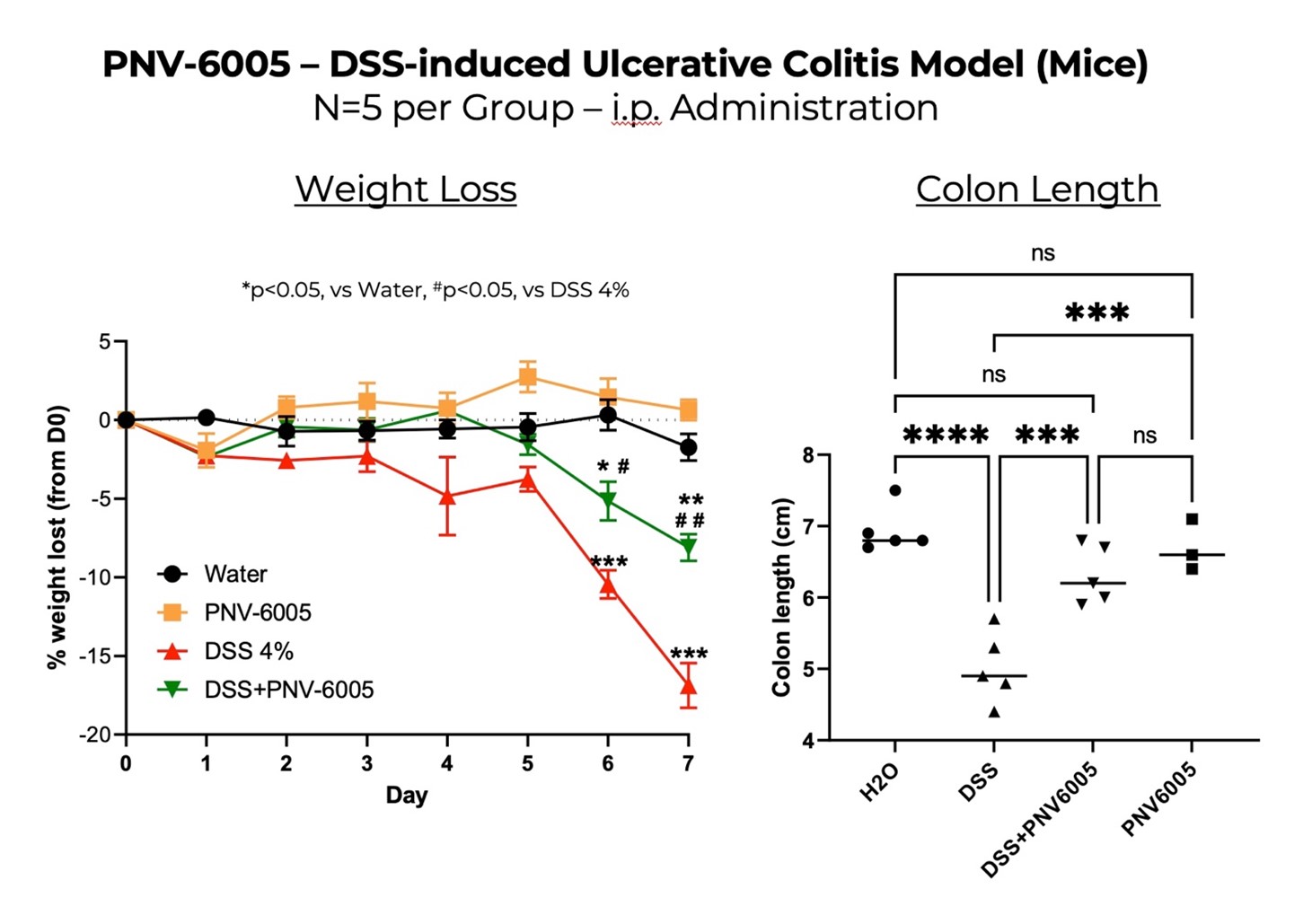 PNV-6005 - DSS-induced Ulcerative Colitis Model (Mice)