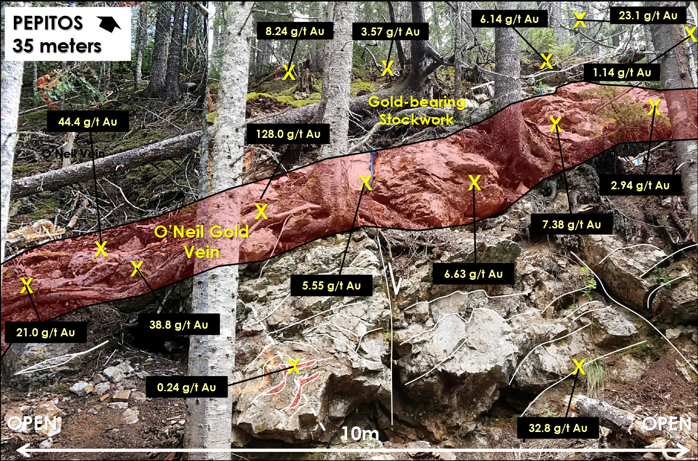 Figure 3: High-Grade Gold O'Neil Showing