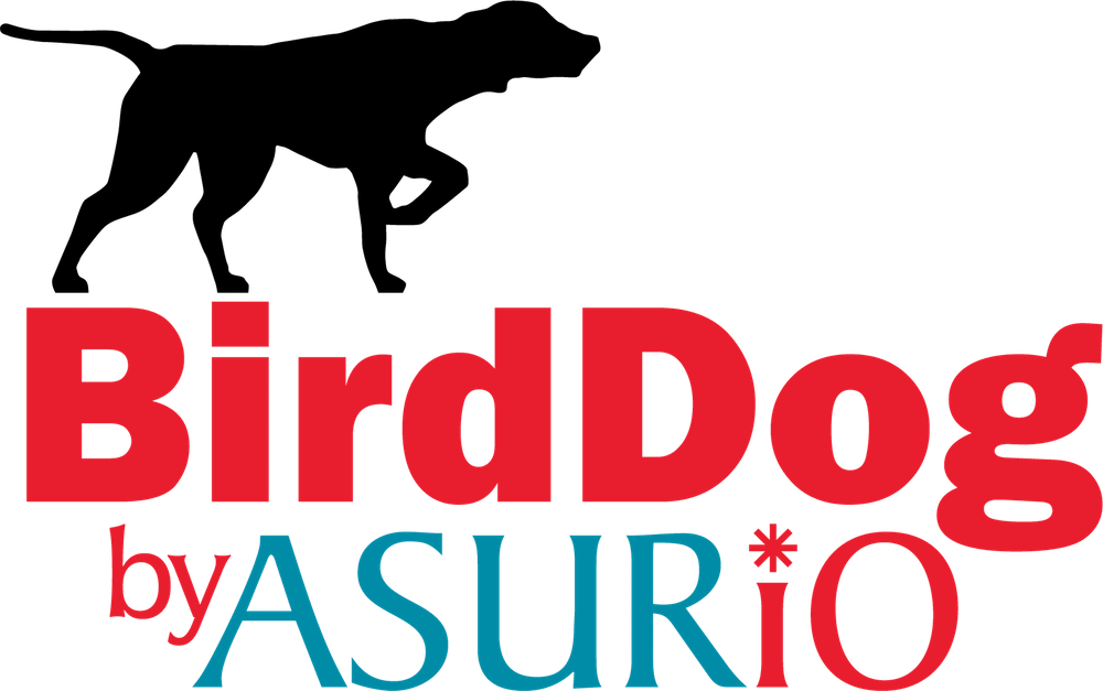 BirdDog by Asurio Logo