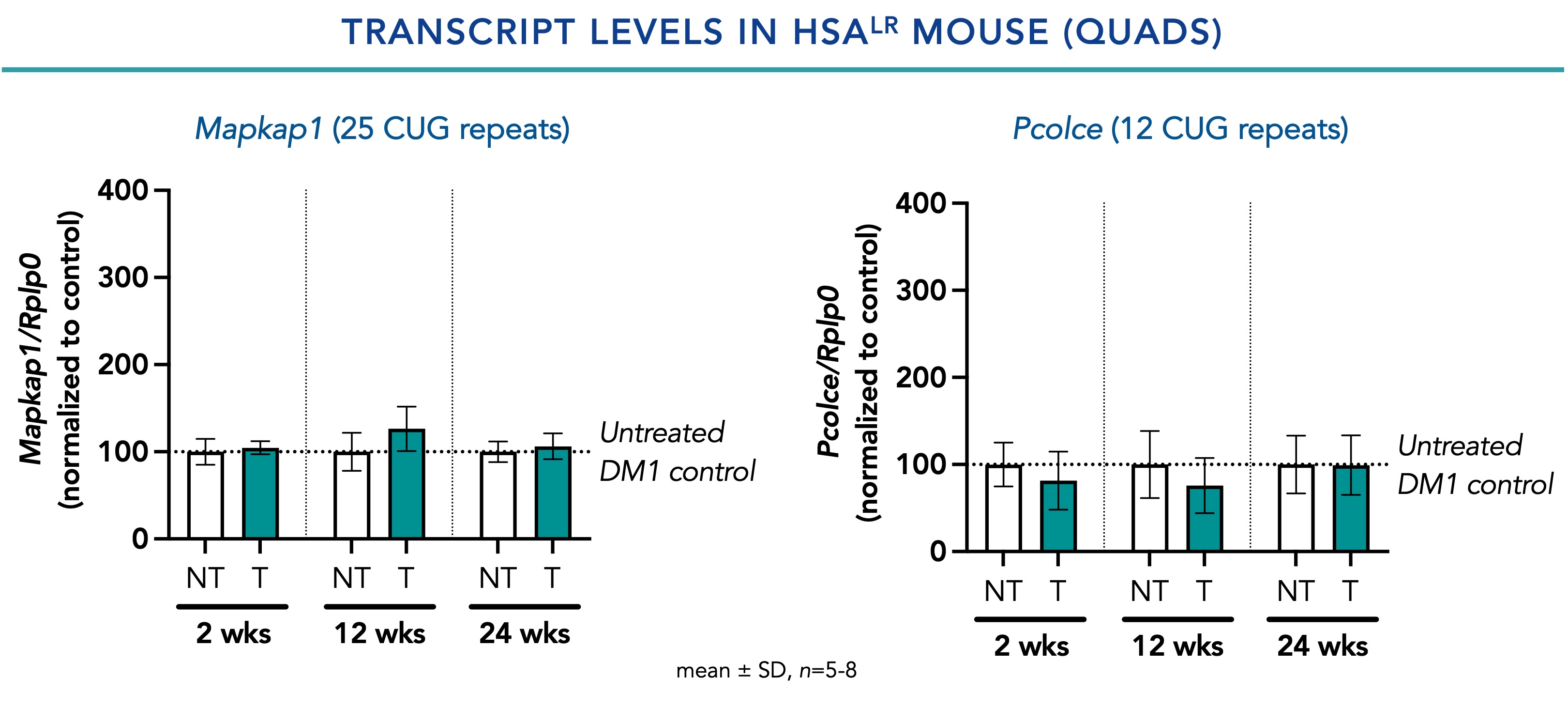 Transcript Levels in HSALR Mouse (Quads)