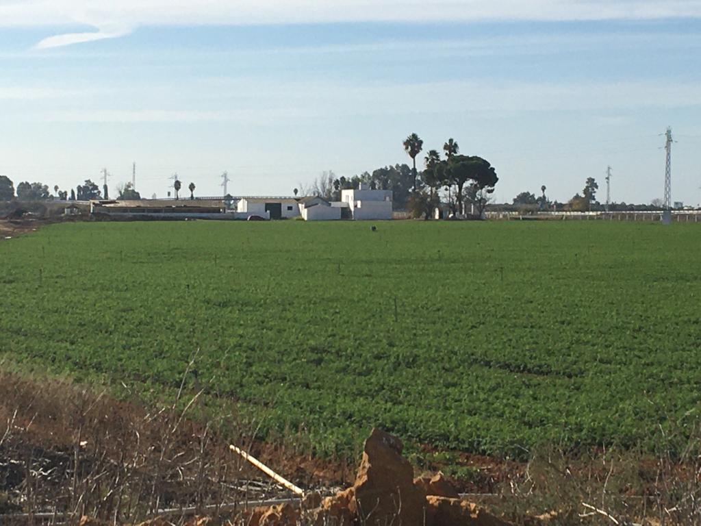 a farm with white buildings in the middle of fields in Spain