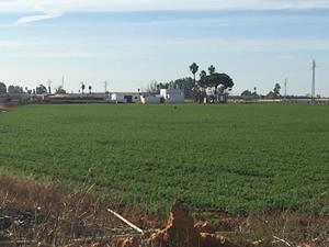 a farm with white buildings in the middle of fields in Spain
