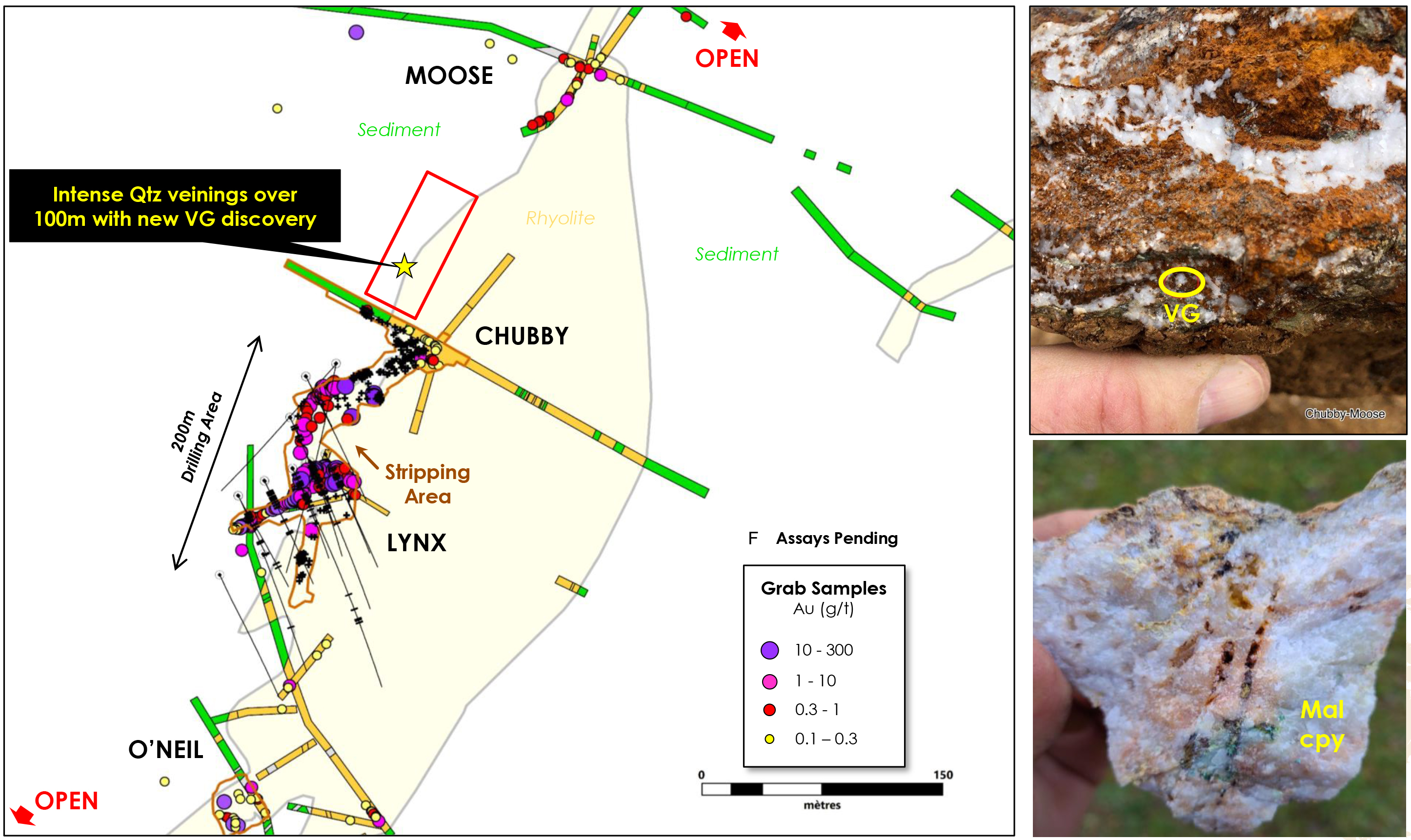 Figure 1: O’Neil Gold Trend New Discovery Map