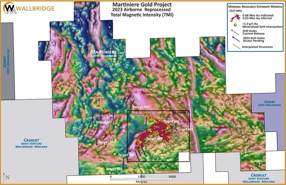 Martiniere Gold Project, Total Magnetic Survey (TMI)