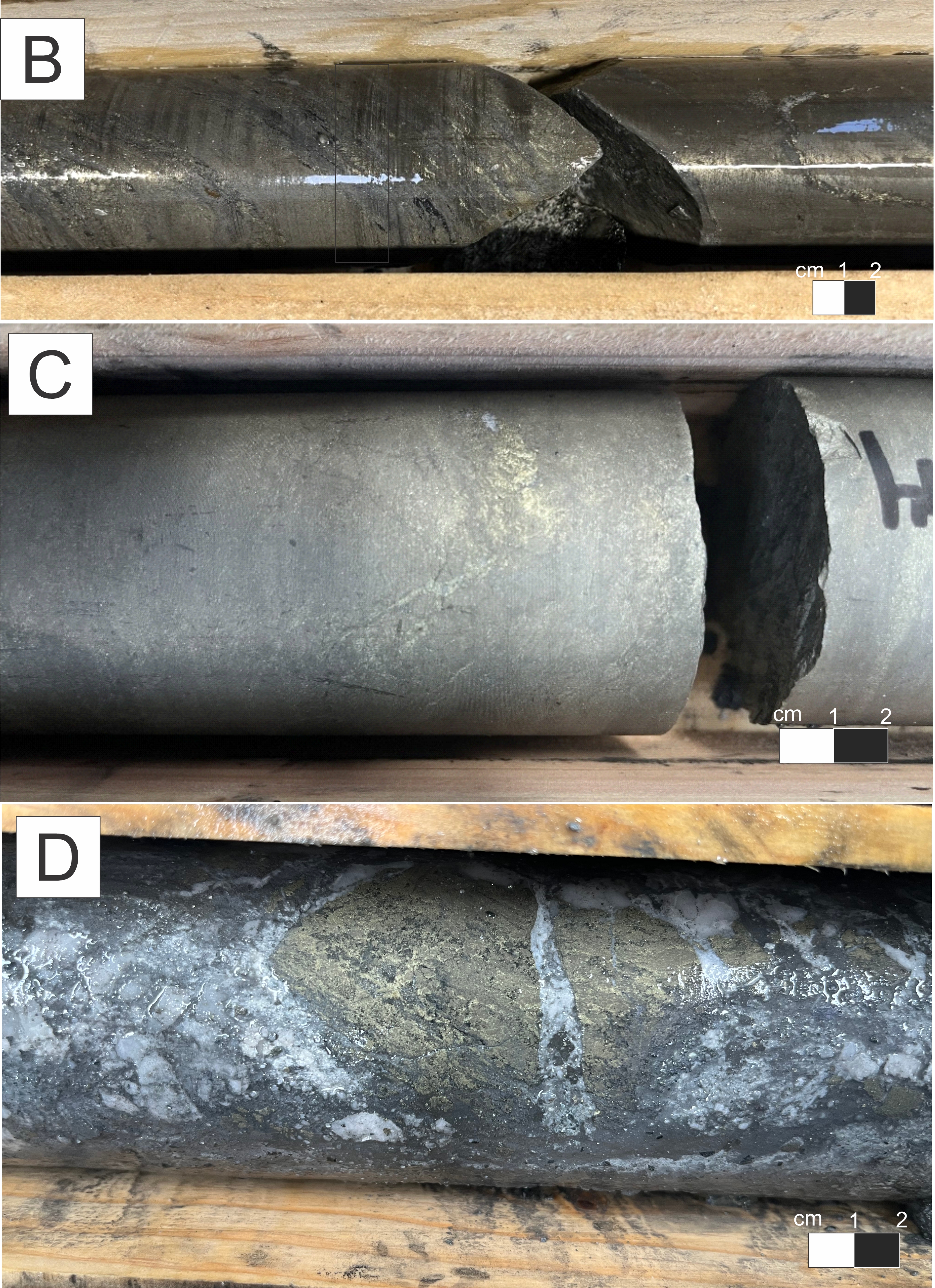 Figure 5 (continued_
