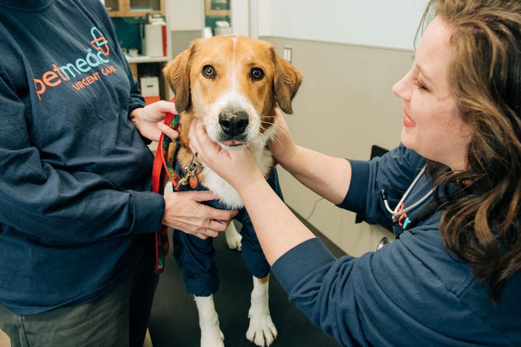 PetMedic Urgent Care Vet Clinic To Open Two Additional
