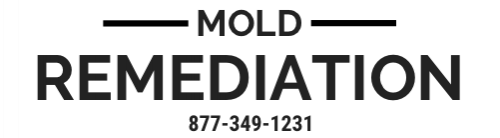 mold-remediation-logo.png