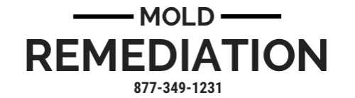mold-remediation-logo.png