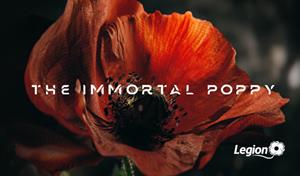 Immortal Poppy_larger