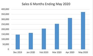 6 Months Sales Ended May 31, 2020