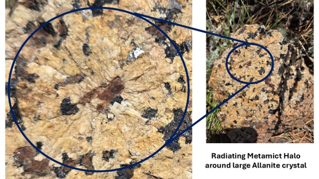 Figure 6 – Example of Allanite Phenocryst and Associated Metamict Structure 