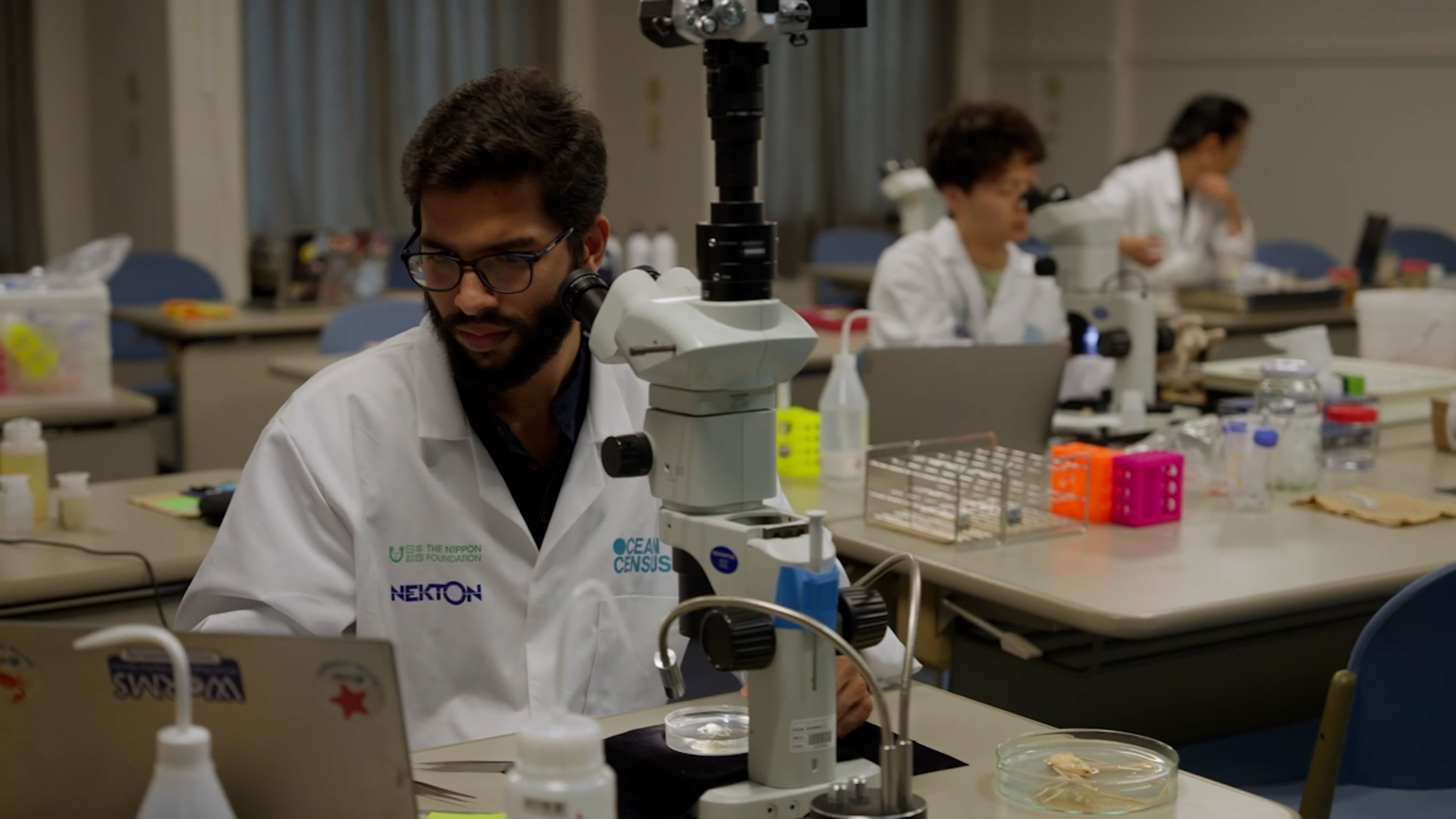Dr Shivam Tiwari, a squat lobster expert from the Centre for Marine Living Resources & Ecology (CMLRE), India, examines specimens during the October species discovery workshop at JAMSTEC HQ. Credit:The Nippon Foundation-Nekton Ocean Census/©JAMSTEC