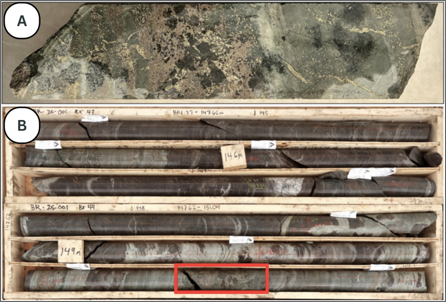 Figure 1 image