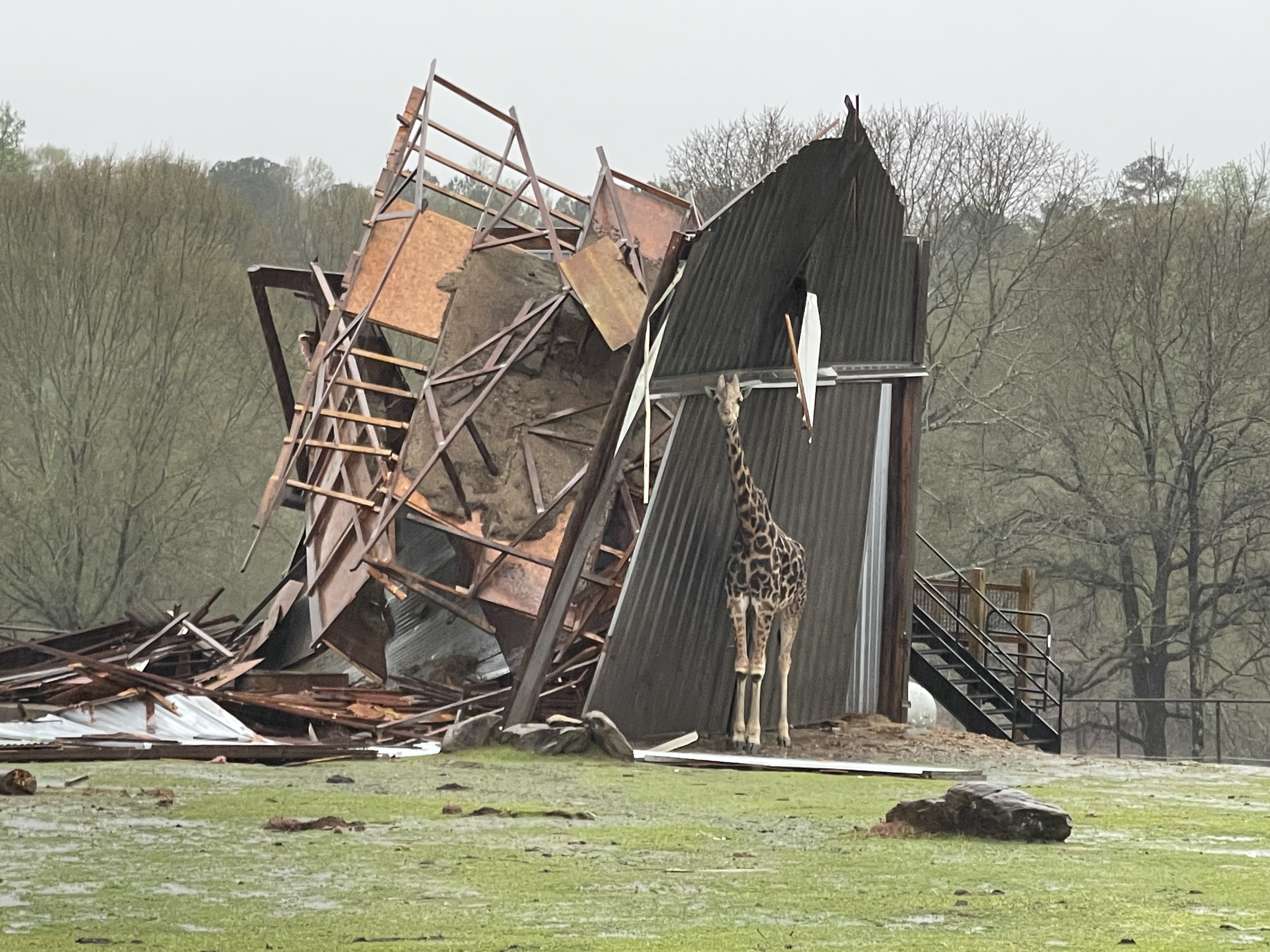 Giraffe Barn Tornado Damage