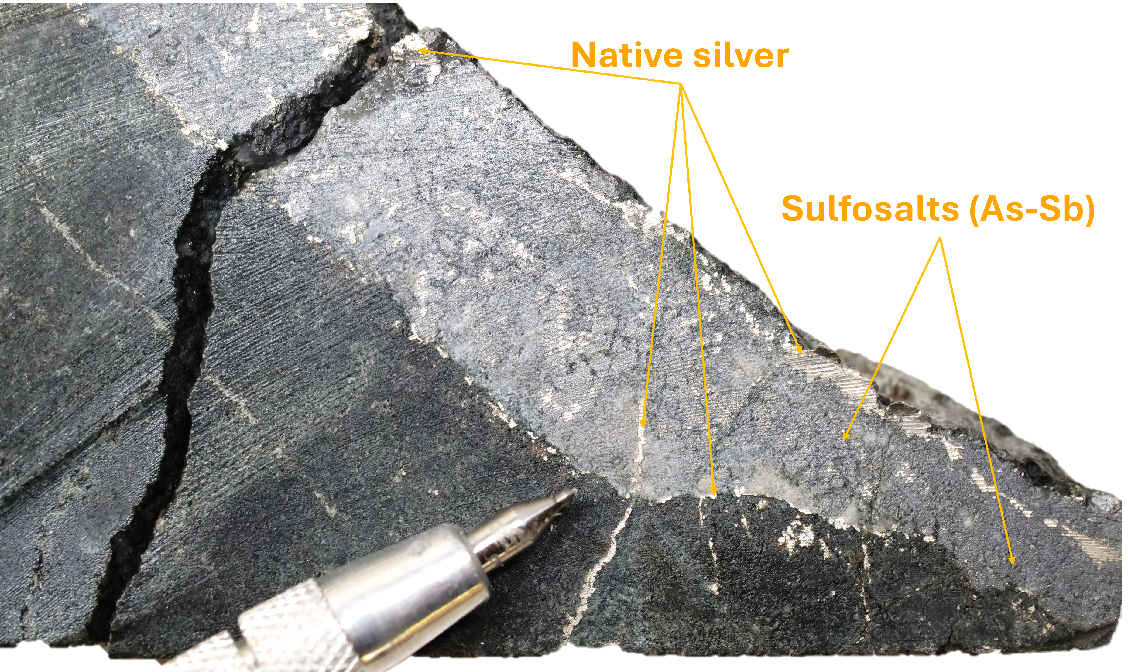 Figure 5 image