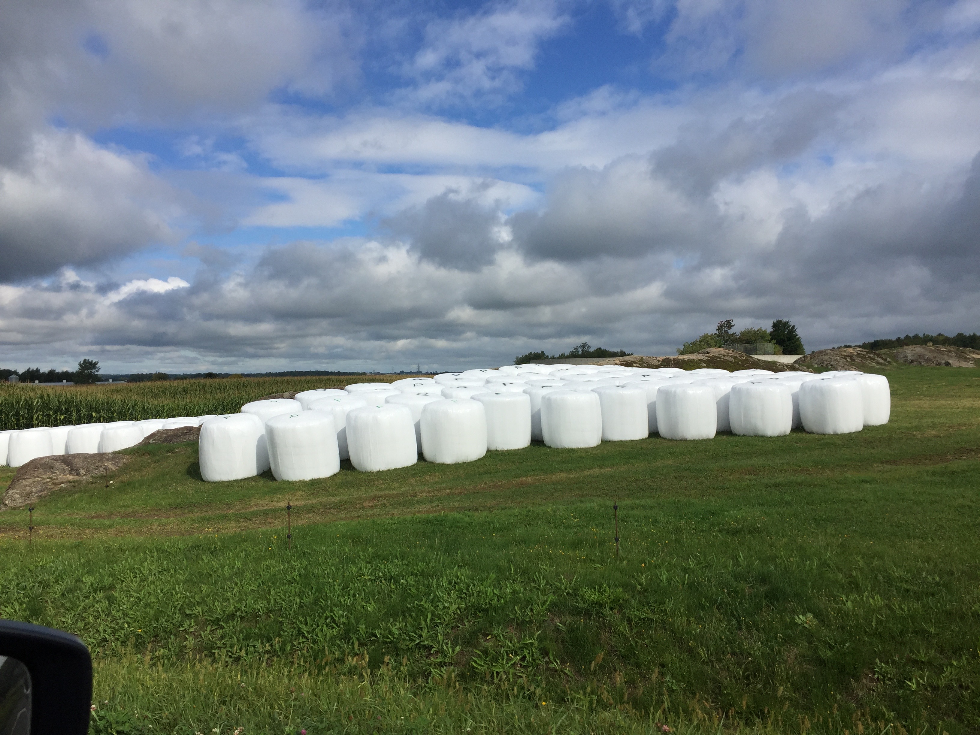 balewrap_cleanfarms_IMG_4389