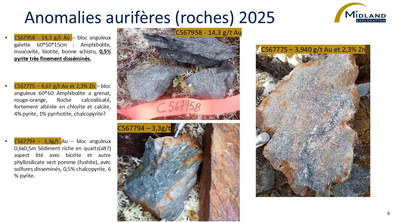 Anomalies aurifères (roches) 2025
