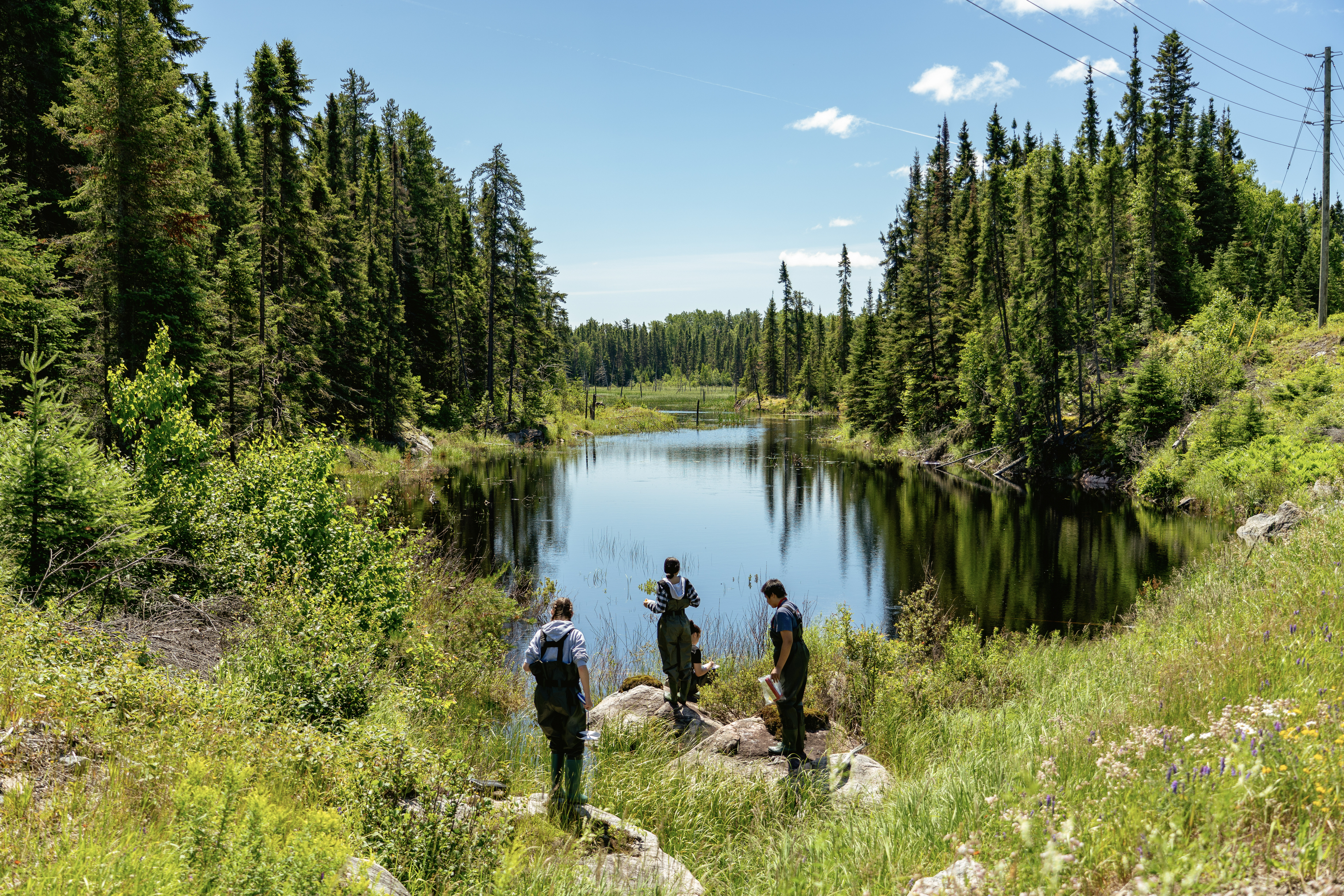 Environmental Water Program participants collect water samples in the field
