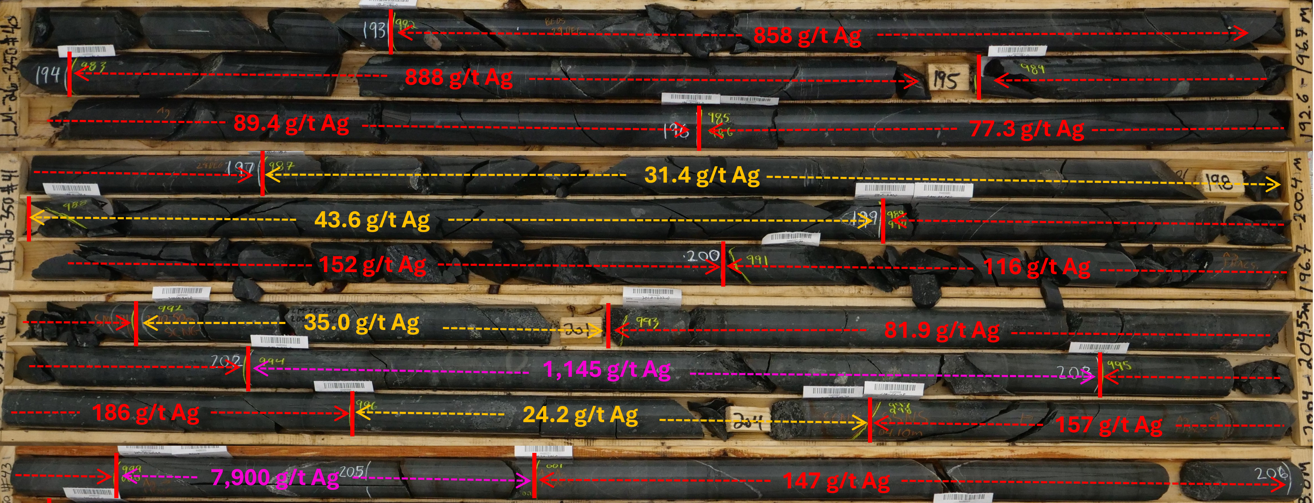 Figure 5 image