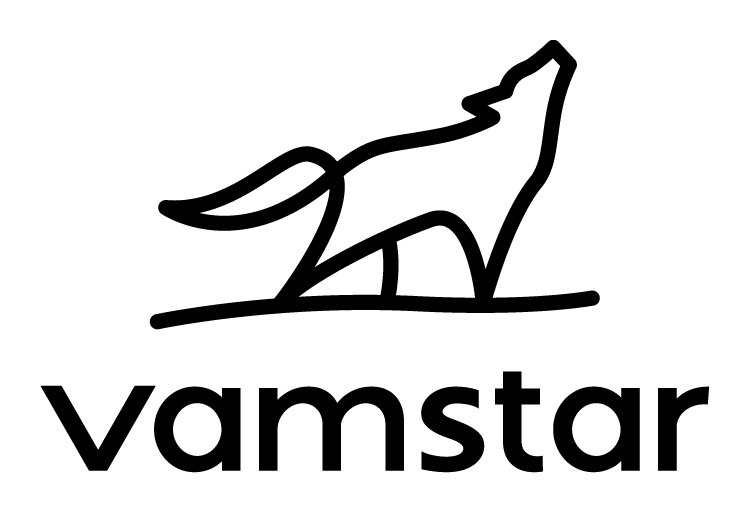 Vamstar_Logo_Black_V.png