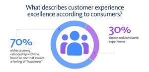 What describes customer experience excellence