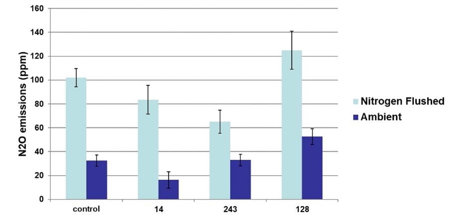 N2O emissions