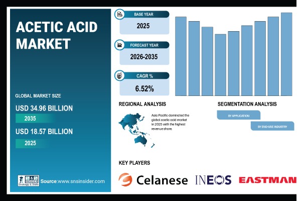 Acetic Acid Market