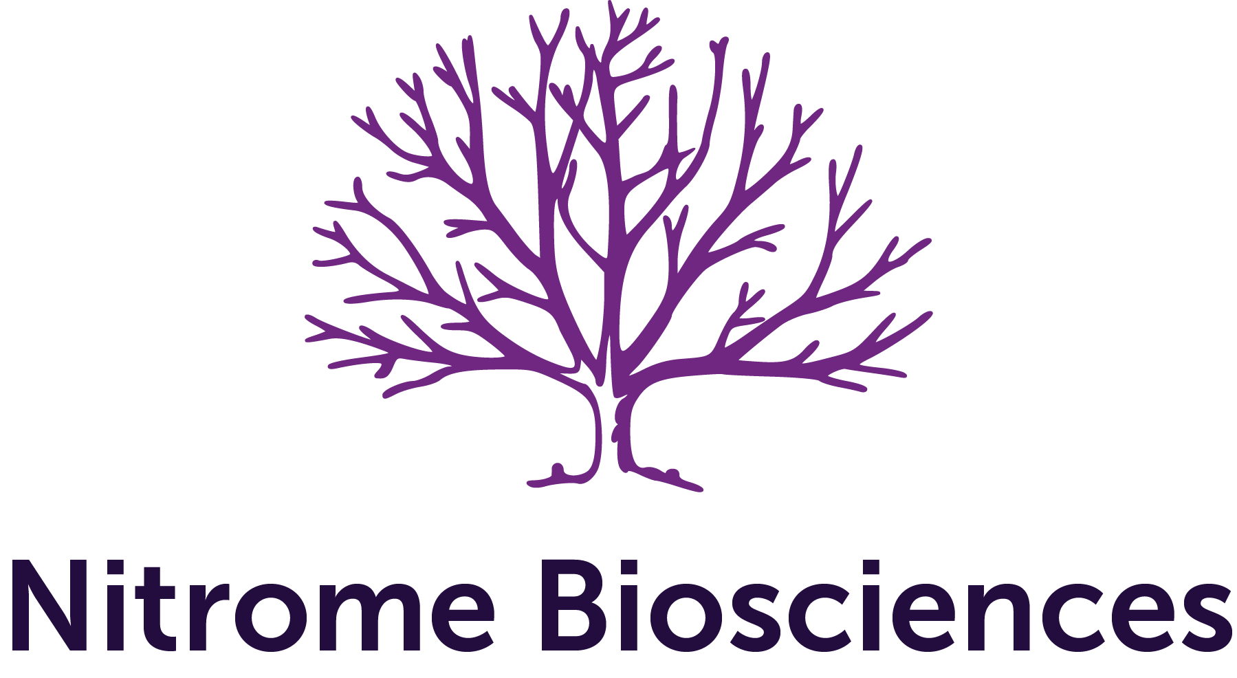 Nitrome_logo_2020.png
