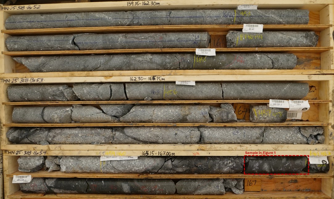 Figure 3 image