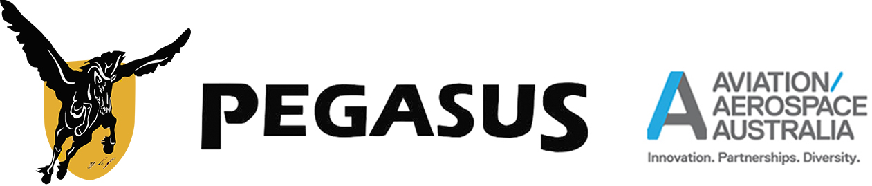 Pegasus Logo.jpg