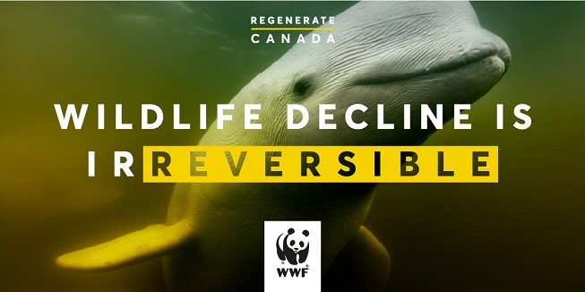 WWF-Canada launches 10-year plan to Regenerate Canada