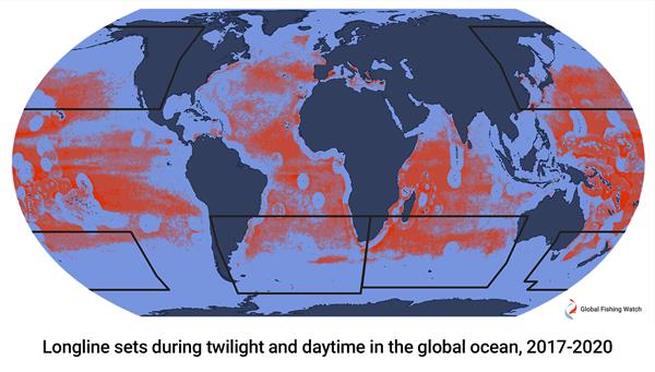 Longline sets during twilight and daytime in the global ocean, 2017-2020